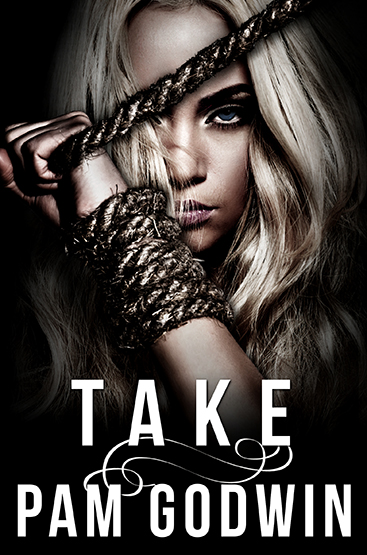 COVER REVEAL: TAKE